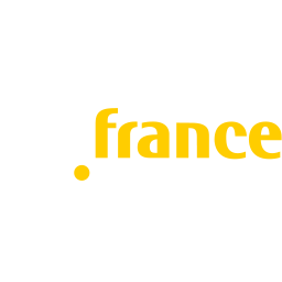 BPI France