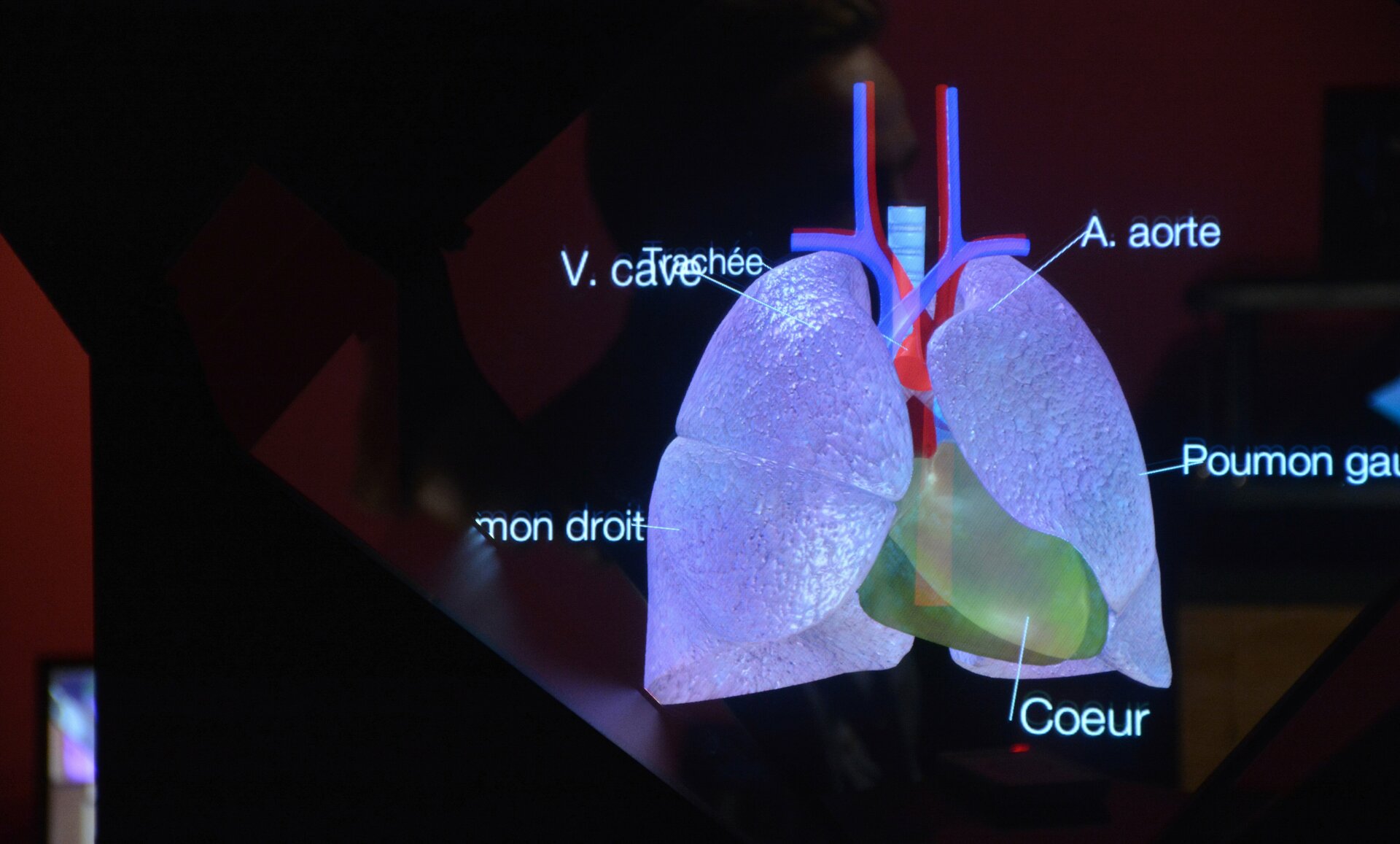 Medical formation presented on the Laval Virtual 2016